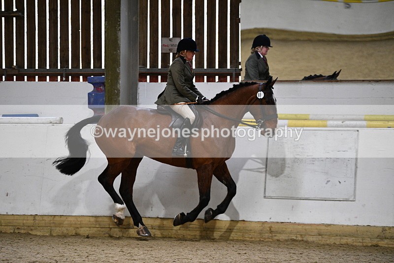 WJ5_9016 - Class 15 Ridden Show Horse