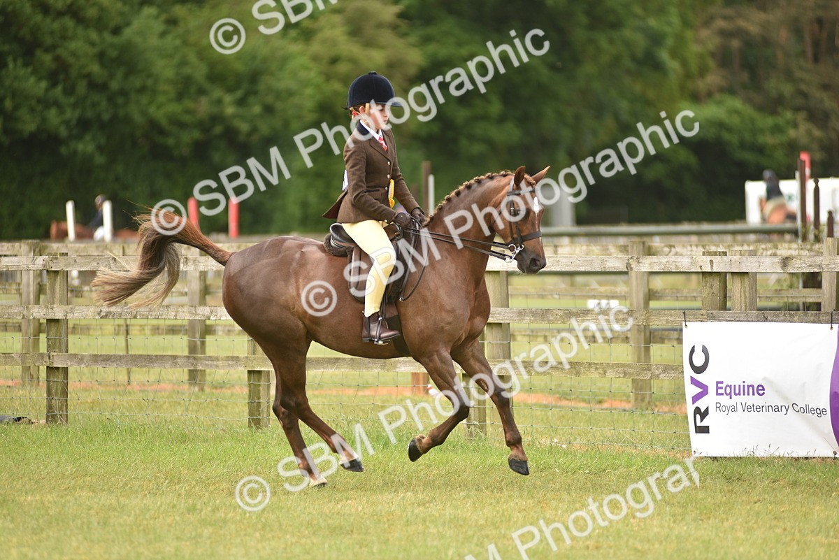 SBM_12079 - Class 110-112 - LIHS BSPS Performance Pones