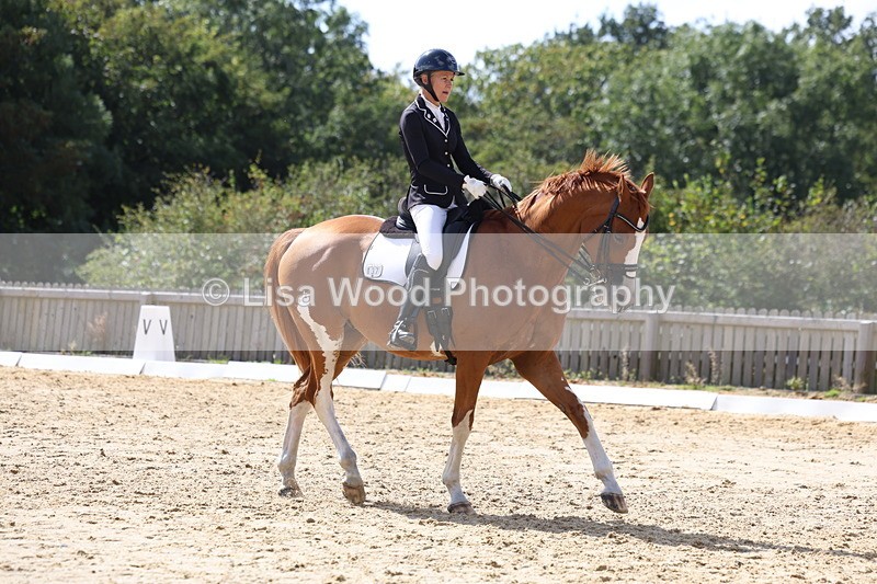 3E7A4849 - Class 11: Elementary Music