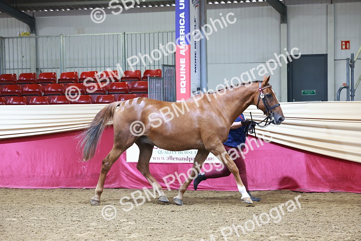 SBM_21766 - Class 901 - Supreme Final - IH  Diamond