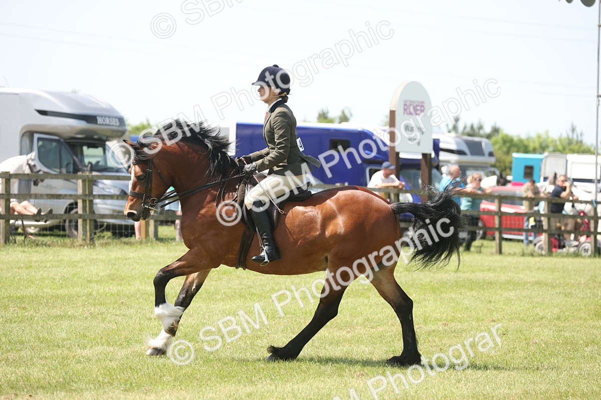 SBM_06940 - Class 26-30 - Mountain and Moorland Ridden