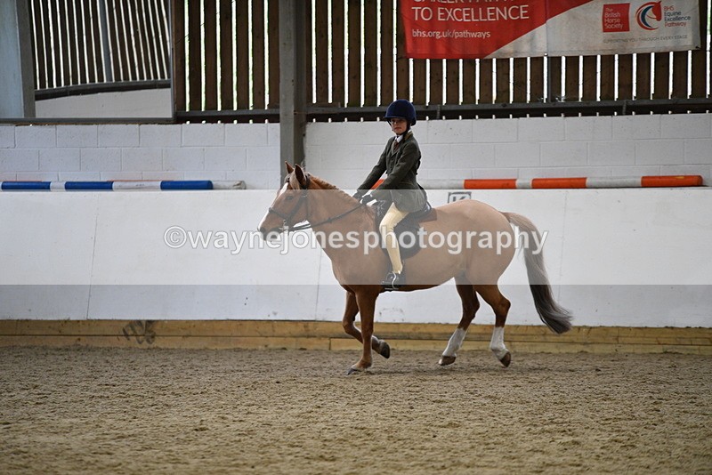 WJ5_6815 - Class 10 Childs Pony