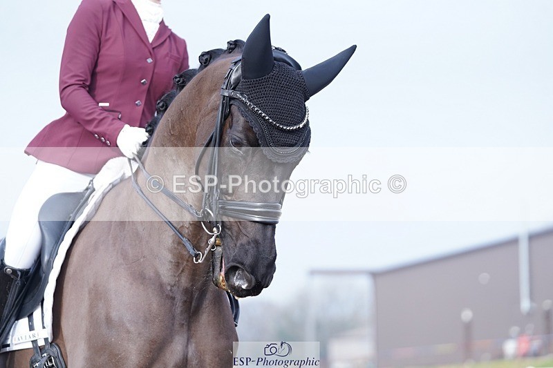 250215-145034-04370 - 184-Lucy.Palmer-La.Vida.loca