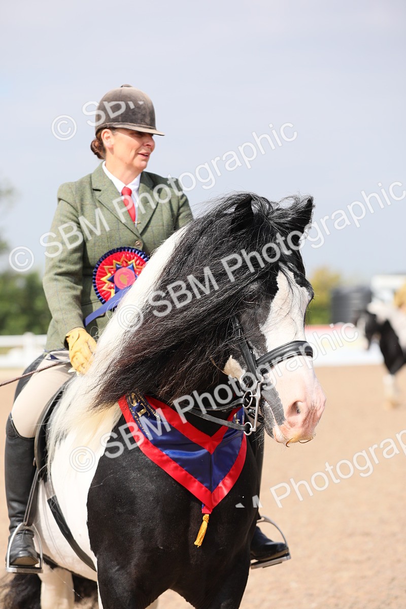 SBM_12849 - Class 307 Ridden Coloured Pony