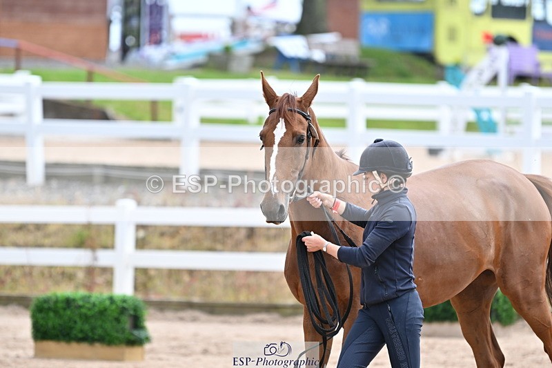 240717A-143022-02091 - Trot Up 2pm to 3pm - This folder is not in time order