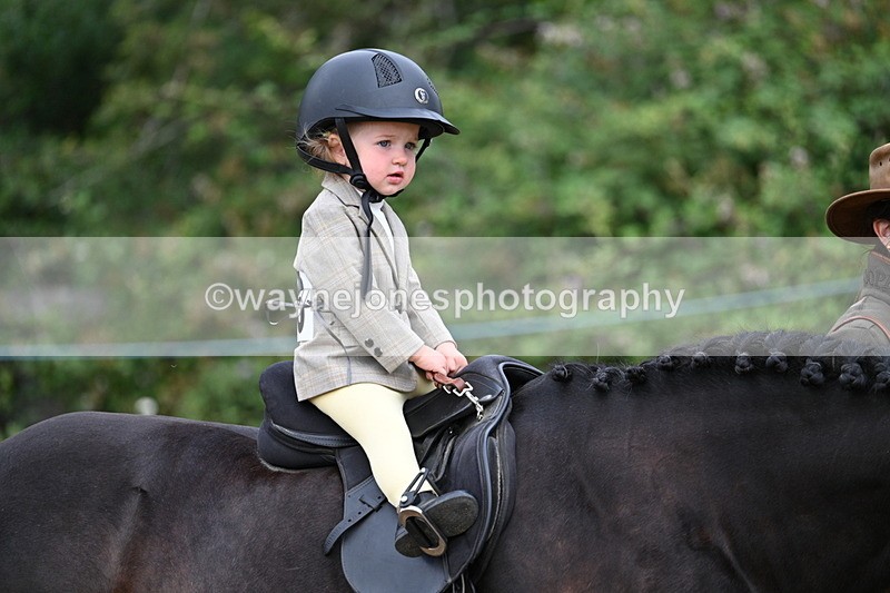 WJ7_9668 - Class 1 Lead Rein Pony