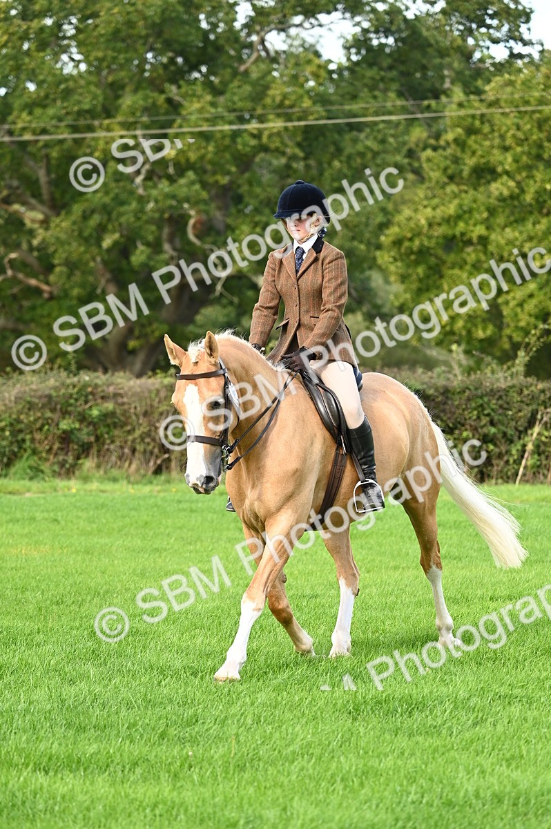 SBM_01708 - S2 - TSR Ridden Horse Showing
