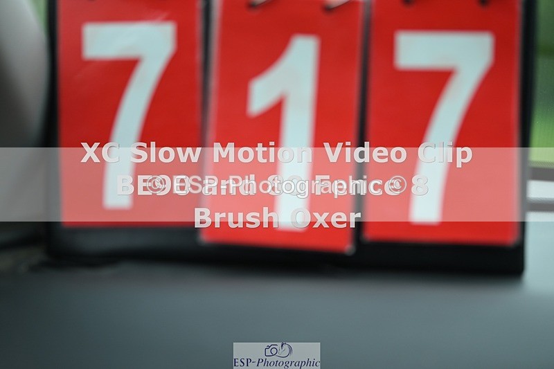 250419-151510-12180 - 717-Helen.Buckland-LIVERMORES.MIDNIGHT.DIAMOND