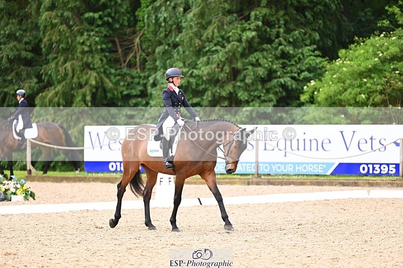 240524-091902-07785 - 504-LORDSHIPS_GRAFFALO-Rosalind_Canter