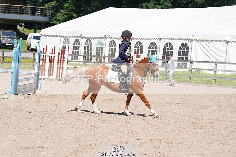 240728-113326-03130 - PC80, Round 1