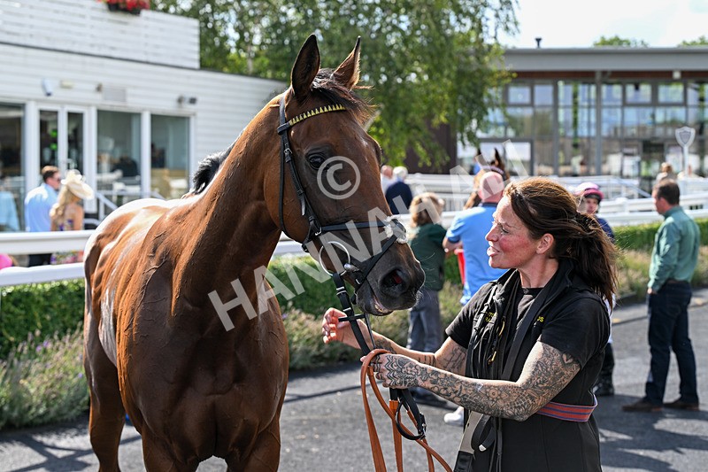 260826-Race 2-Lady Gormire-2510 - Race 2 14:45 Berber Leather Maiden Stakes