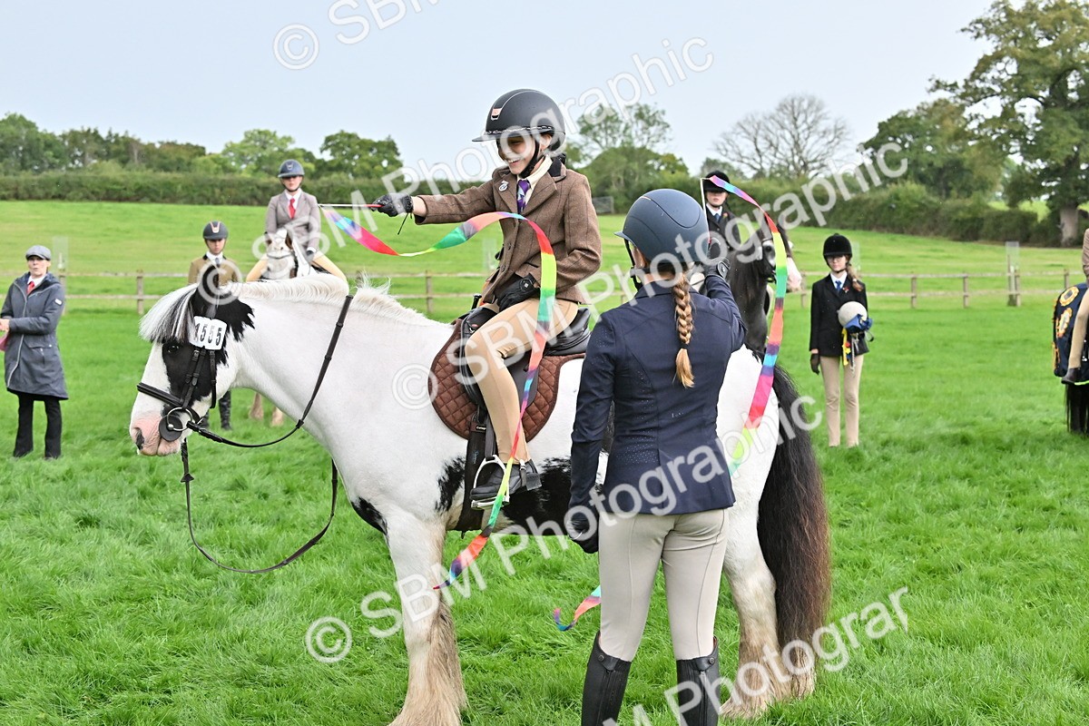 SBM_42927 - S12 - Family Horse & Pony