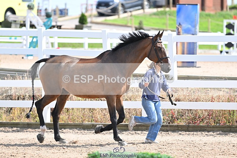 240717A-150931-02587 - Trot Up 3pm to 4pm
