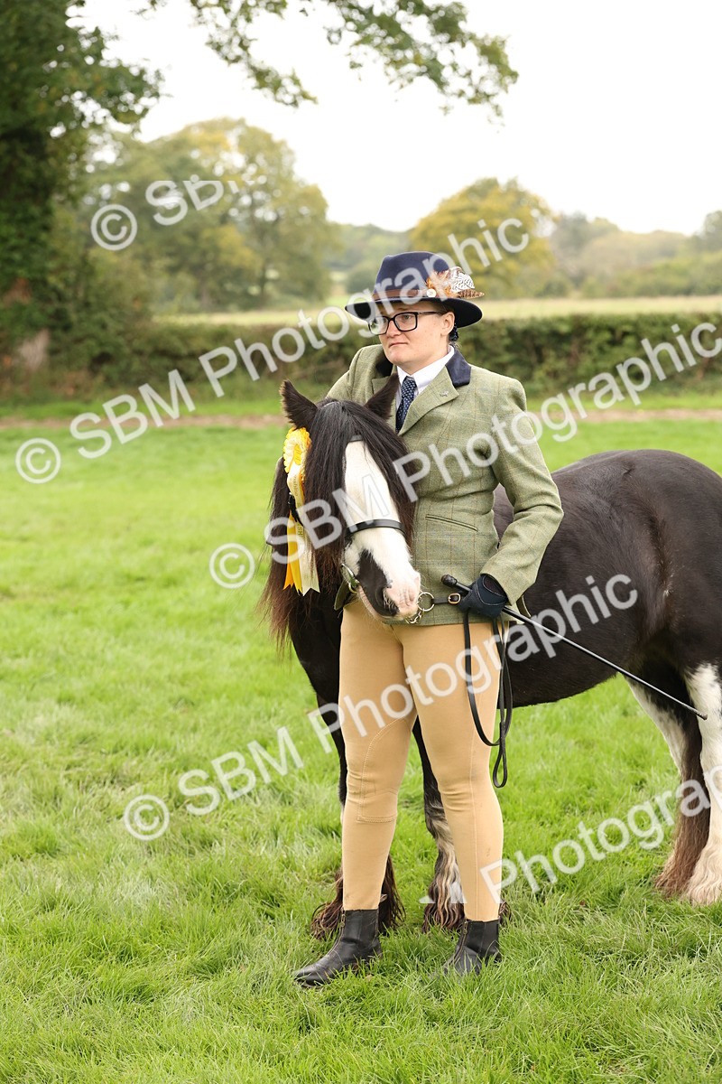 SBM_59378 - S57 - Traditional Cob In Hand
