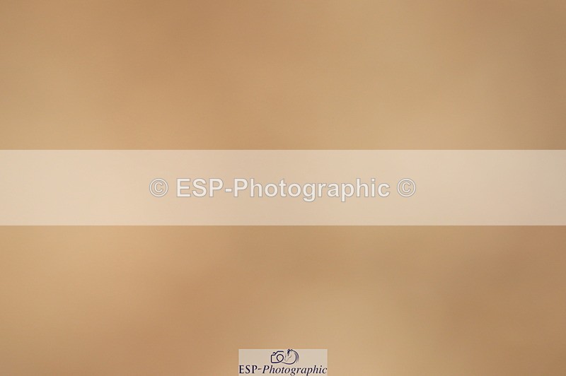 240317A-154852-07828 - Cls 29 Snr Foxhunter