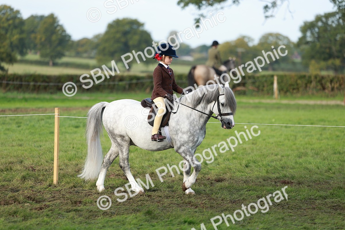 SBM_56272 - S39 - Starters In Hand Showing