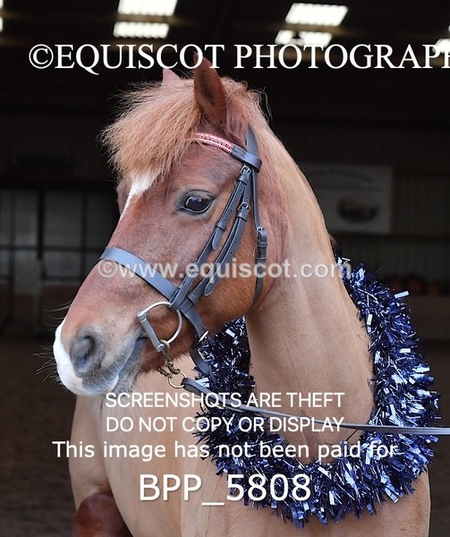 BPP_5808 - Sarah Page