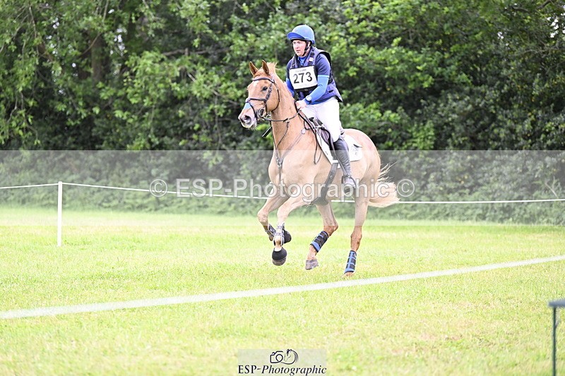 250524A-164348-14599 - C-273-Tim.Cheffings-HEARSAY.LARK.RISING