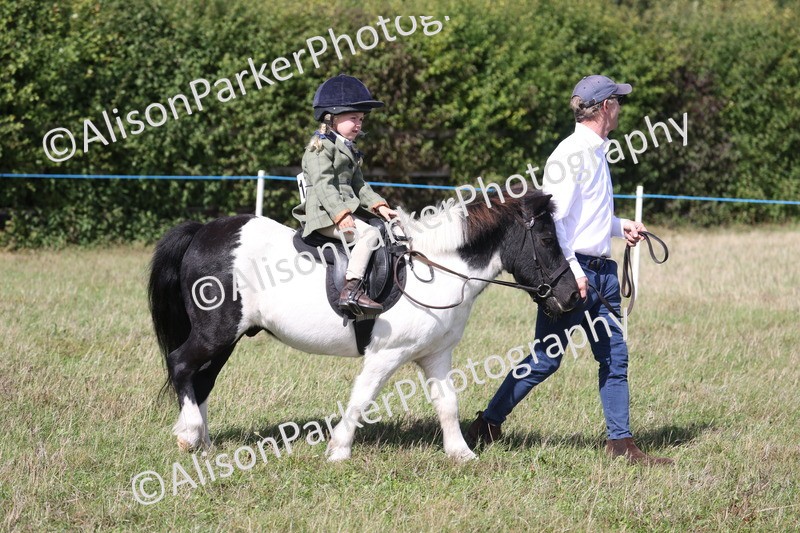 20260906-2753 - Class 25 - Absolute Beginners Pony