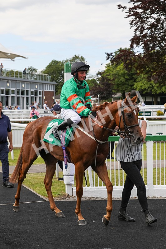 240624-Race 6-Profiteer-0461 - Race 6