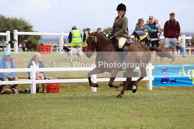 3E7A1016 - Class 8: Open Riding Horse/Hack