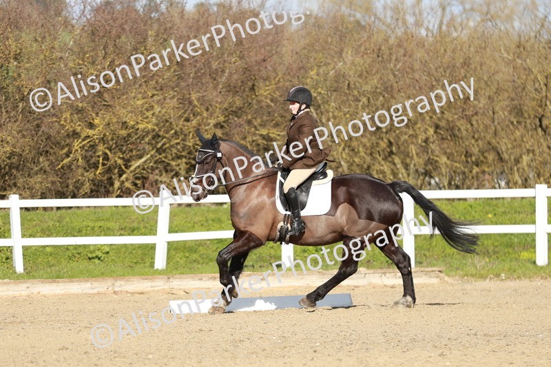 20260314-4447 - DR4 - Prelim 2