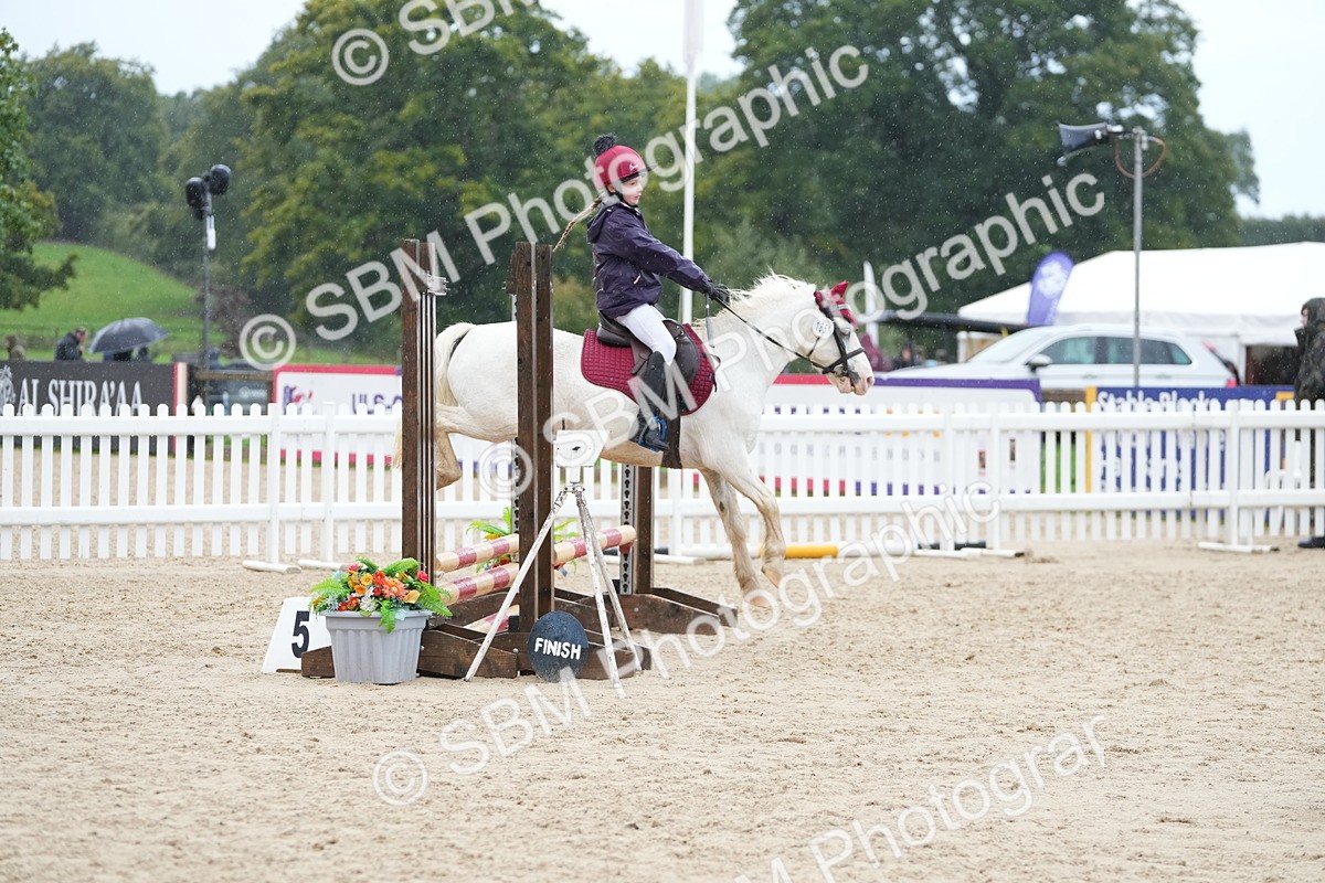 SBM_36326 - J5 - Junior Pony 50cm Championship