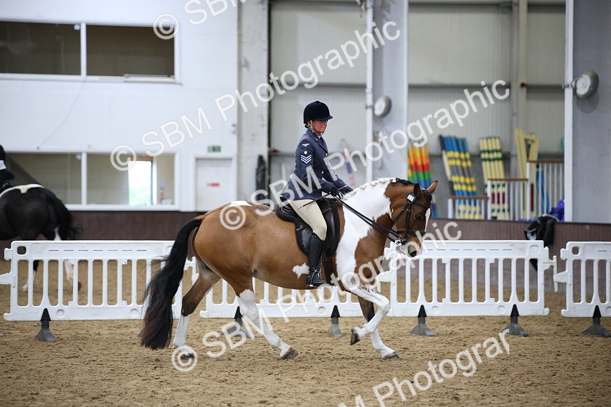 5K7A6110 - Class 48 - Ridden Mare