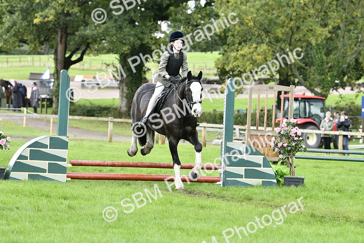 SBM_41489 - S32 - Mountain & Moorland Working Hunter Pony
