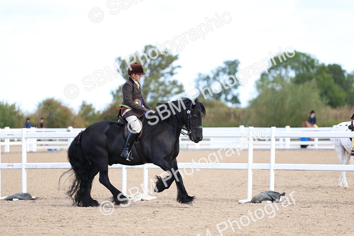 SBM_08984 - Class 302 - Ridden M&M - Large Breeds