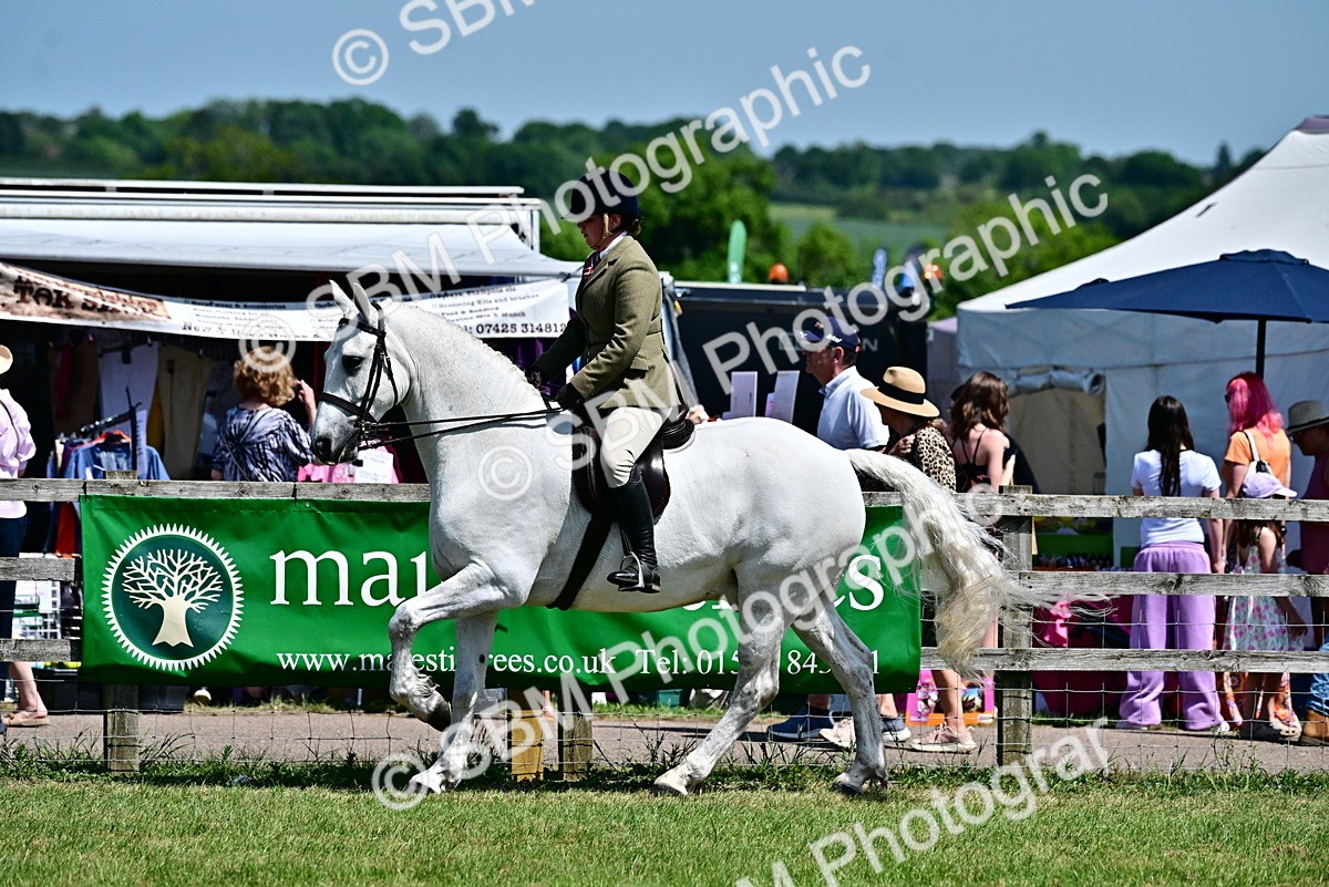 SBM_17483 - Class 95-97 - BSPS LHS Performance Ponies