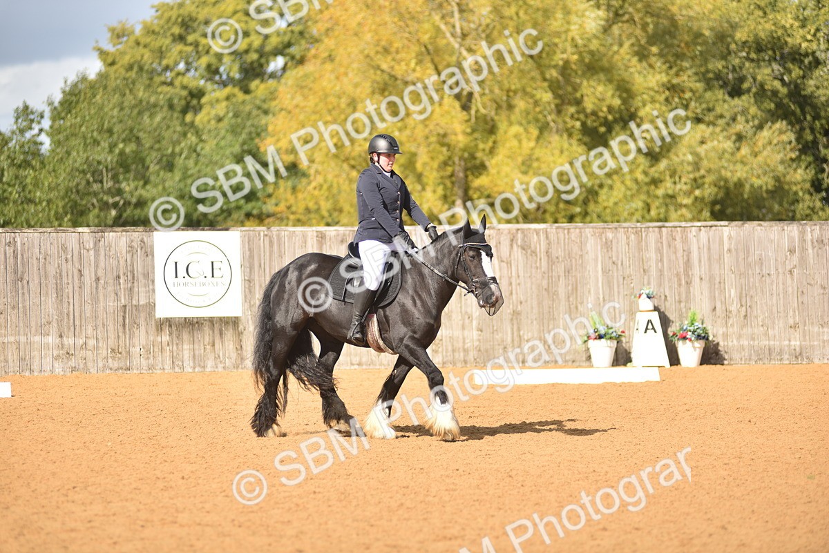 SBM_03032 - D4 - Small Tour Championship Intro 4