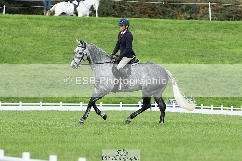 251023A-113317-03355 - D-314-Alice.Tollworthy