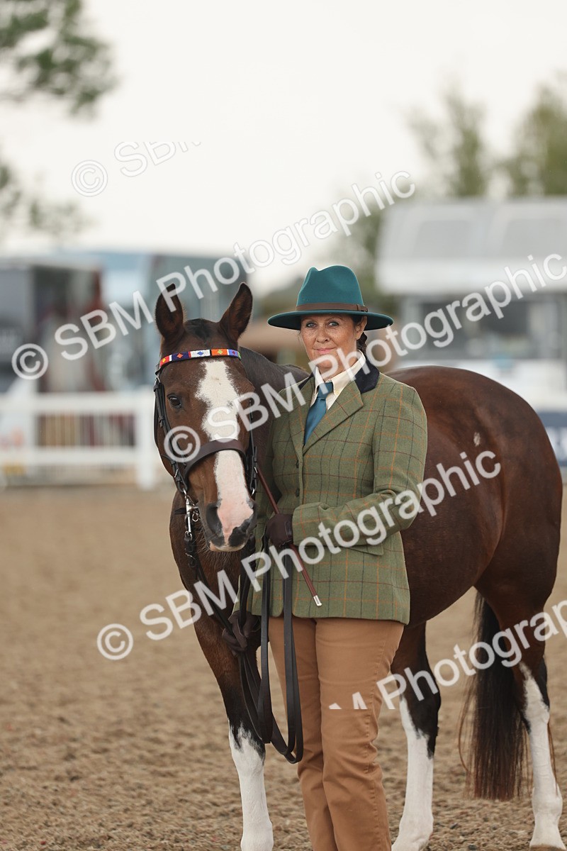 SBM_07696 - Class 26 - IH Foreign Breeds - Part Bred