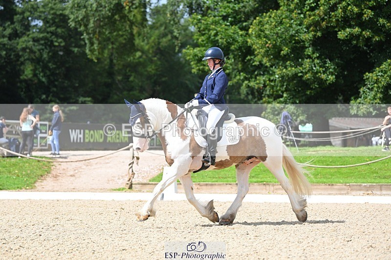 230813-112205-06571 - Cls 12 Elem Silver 10.35 to End