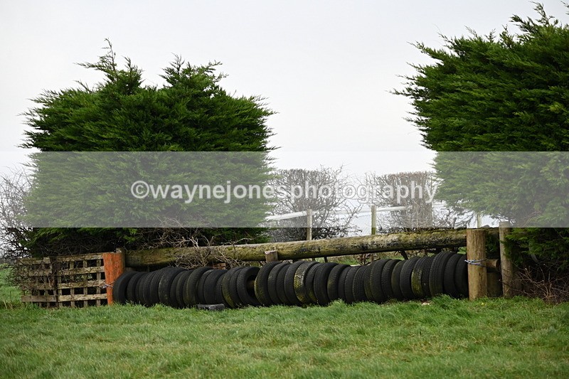 WJ6_2586 - Camera 1