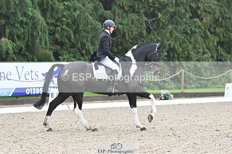 231019-103550-01907 - 101-RICARDO.COLOURS.II-Elizabeth.Wadey-DR