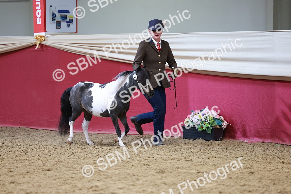 SBM_15727 - Class 110 - IH  Minature Horse