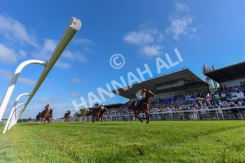 180924-Race 4-Surprised-7366 - Race 4