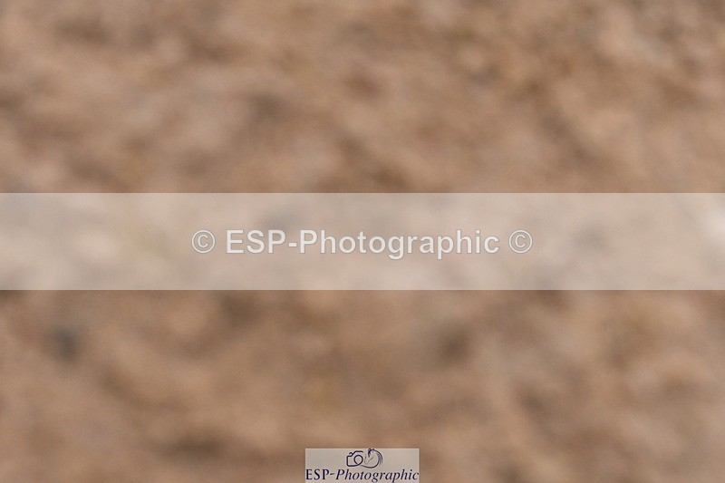 240121A-094325-00262 - Cls 2 Prelim 17A