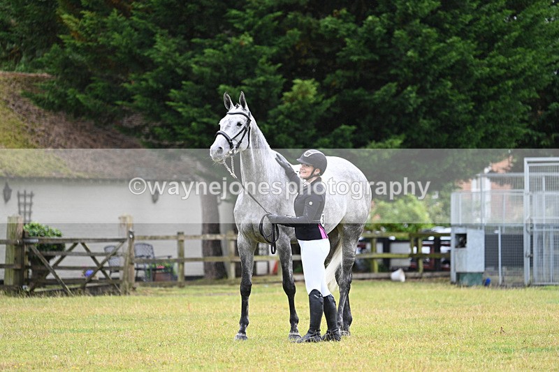 WJ7_6202 - Class 4a Prettiest Mare over 14hh
