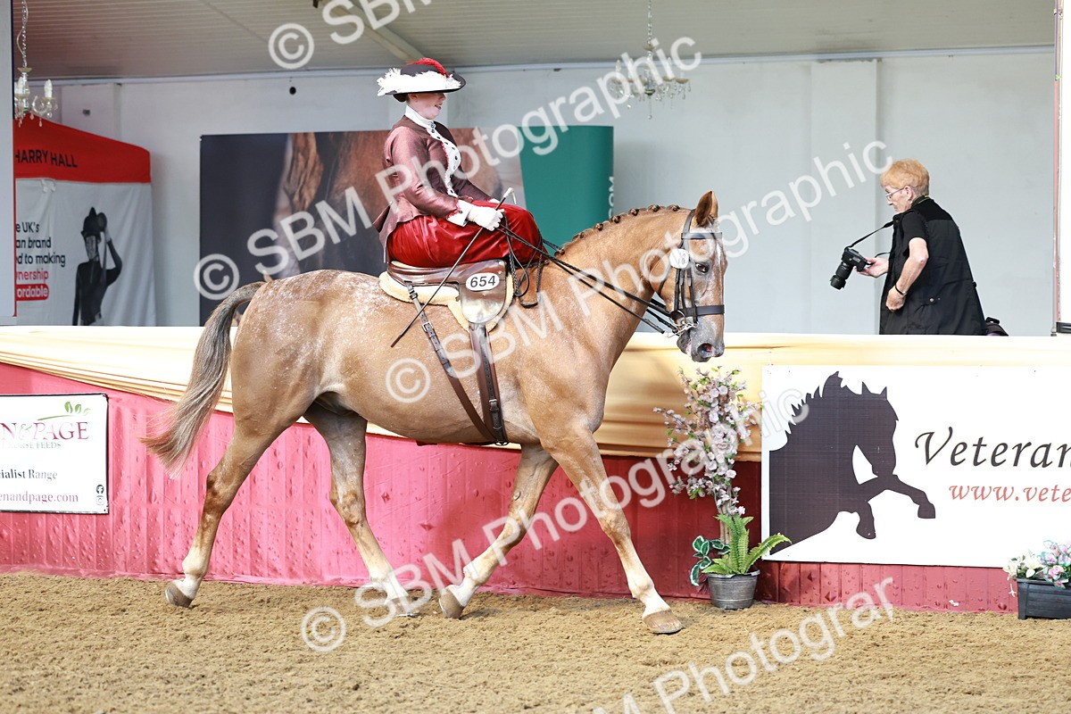 SBM_13553 - Class 105 - Ridden Costume - Side Saddle