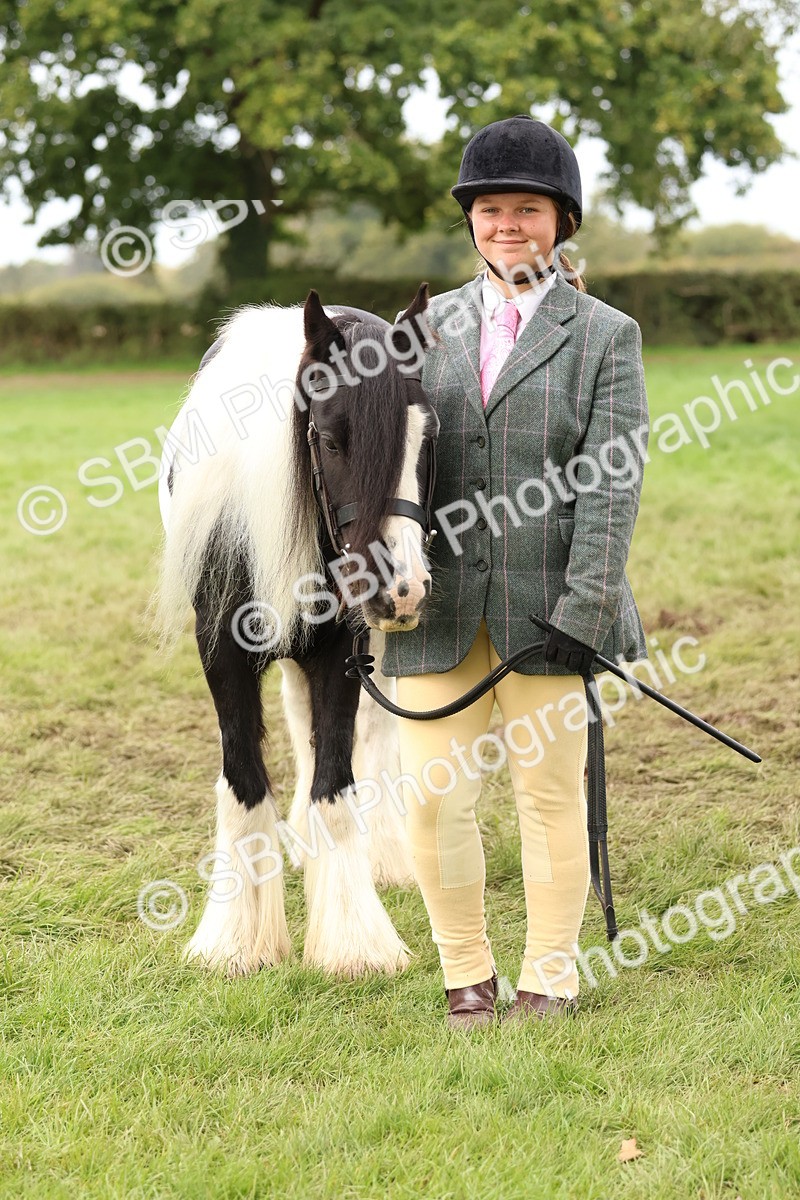 SBM_59906 - S36 - Rehabiliated Rescue Horse & Pony In Hand & Ridden