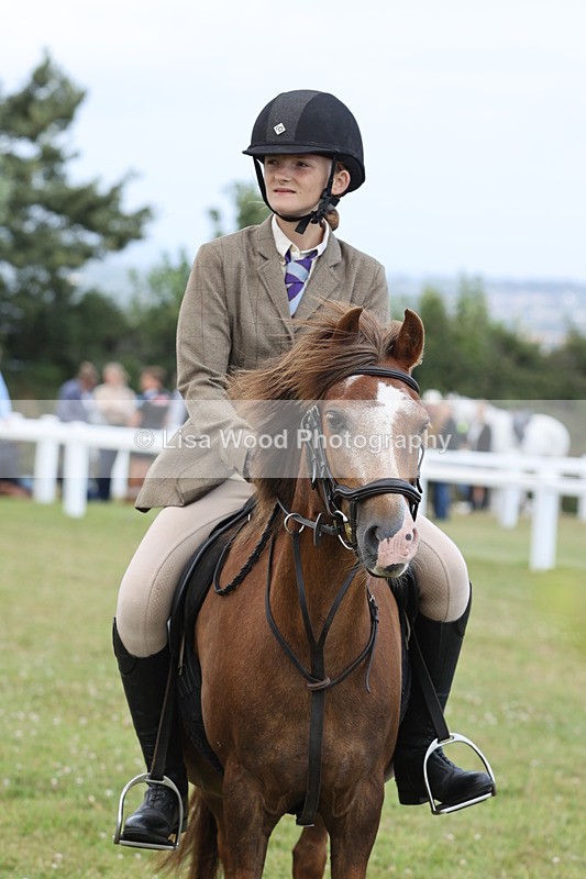 JPP_1909 - Class 18: Tiny Tots Working Hunter Pony