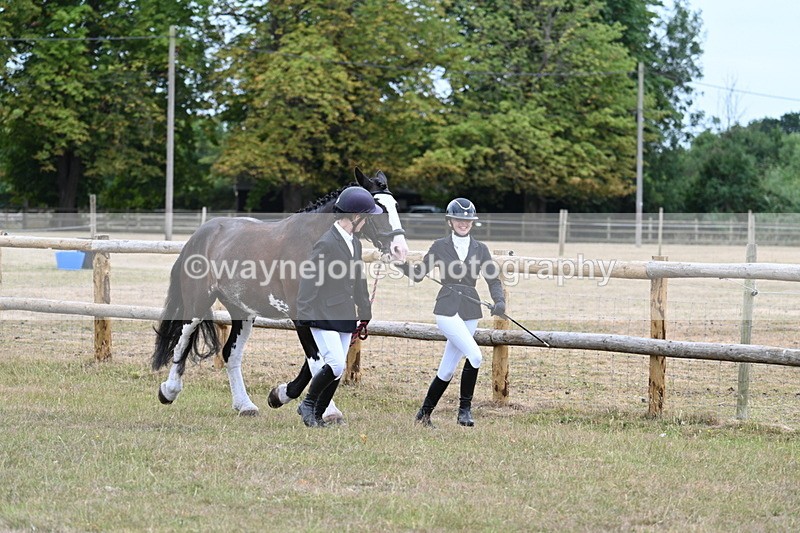 WJ7_8915 - Class 4a Prettiest Mare 14.2hh and over