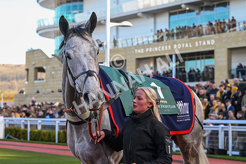 250125-Race 1-Masaccio-3805 - Race 1