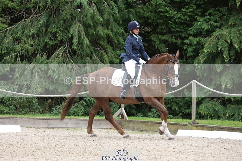 230812-135006-04325 - Cls 5 Novice Bronze 13.40 to 14.45 break