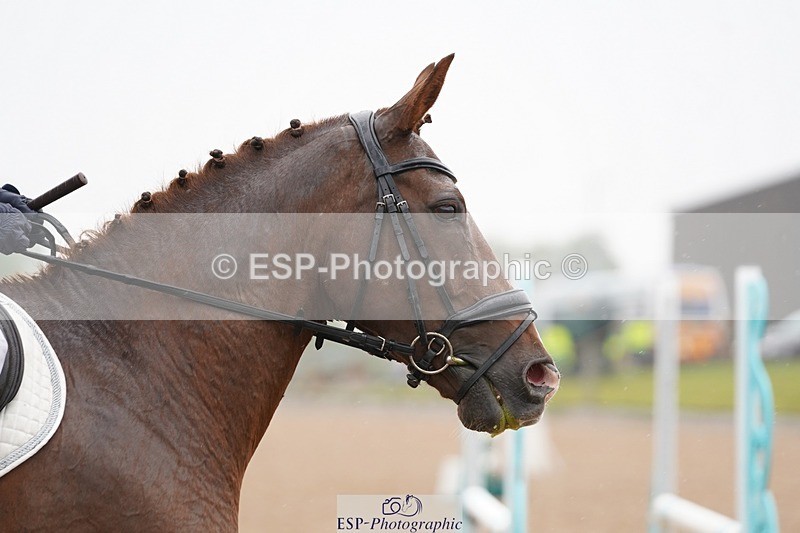 240901A-150206-10235 - 520-Siobhan.Micklethwaite-ONE.CARAT