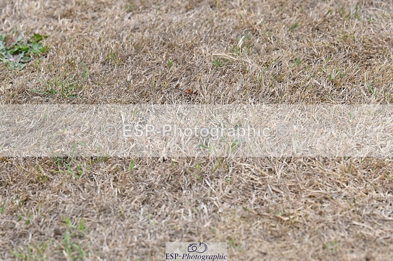 250820A-180348-12477 - Wednesday Presentations