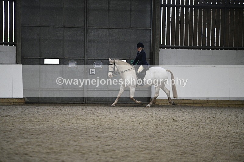 WJ7_3613 - Class 16 Ridden Coloured/ Odd Coloured